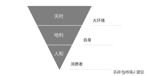 市場策劃人的網(wǎng)絡市場營銷模型 構建高效的數(shù)字化營銷策略